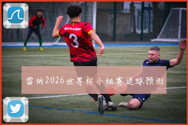 雷纳2026世界杯小组赛进球预测