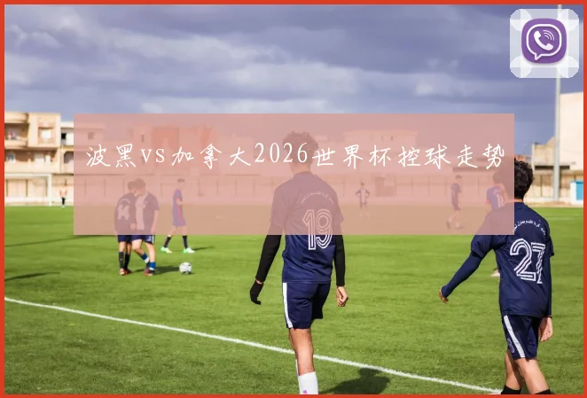 波黑vs加拿大2026世界杯控球走势