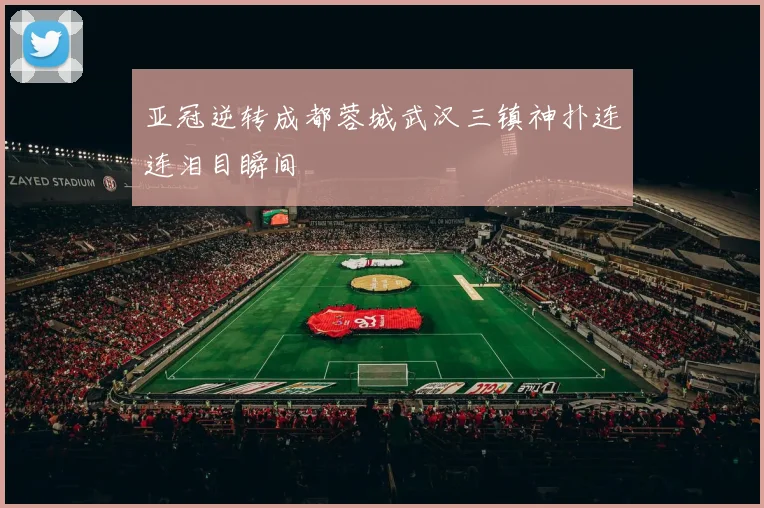 亚冠逆转成都蓉城武汉三镇神扑连连泪目瞬间
