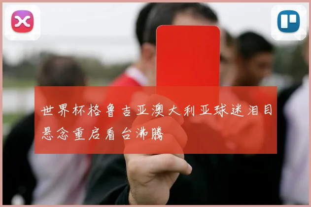世界杯格鲁吉亚澳大利亚球迷泪目悬念重启看台沸腾