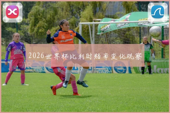 2026世界杯比利时赔率变化观察