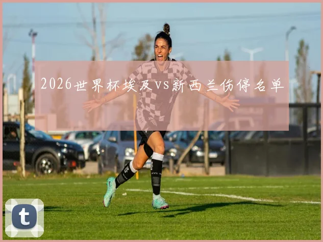 2026世界杯埃及vs新西兰伤停名单