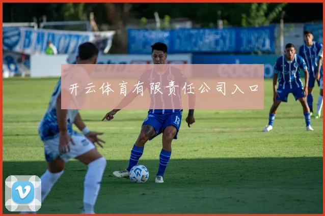 开云体育有限责任公司入口