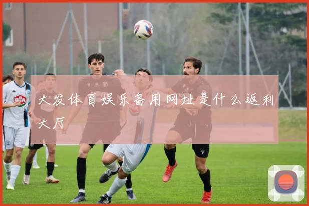 大发体育娱乐备用网址是什么返利大厅