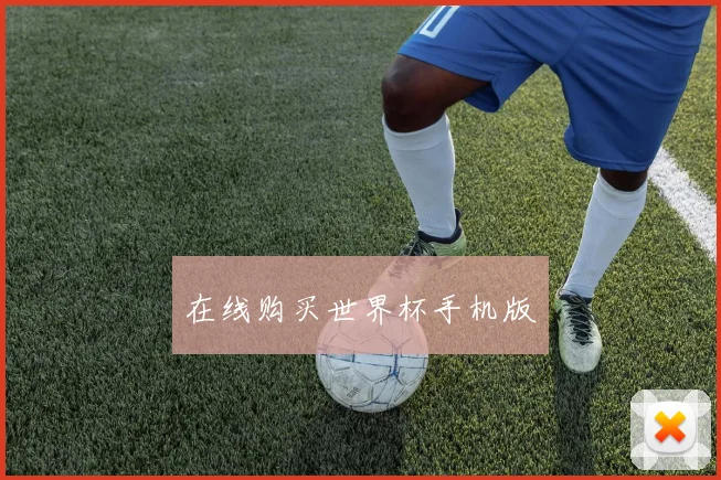 在线购买世界杯手机版