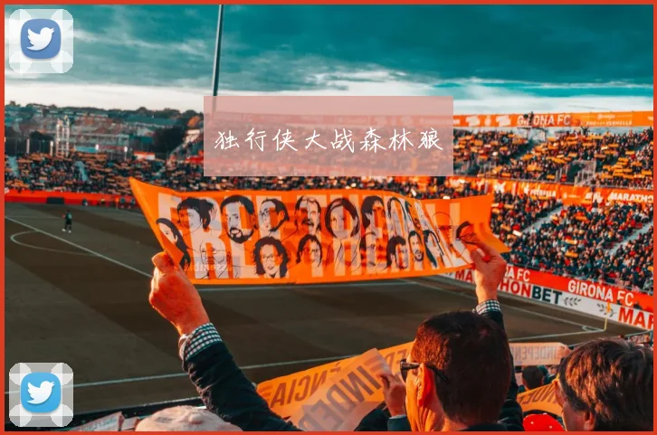 独行侠大战森林狼