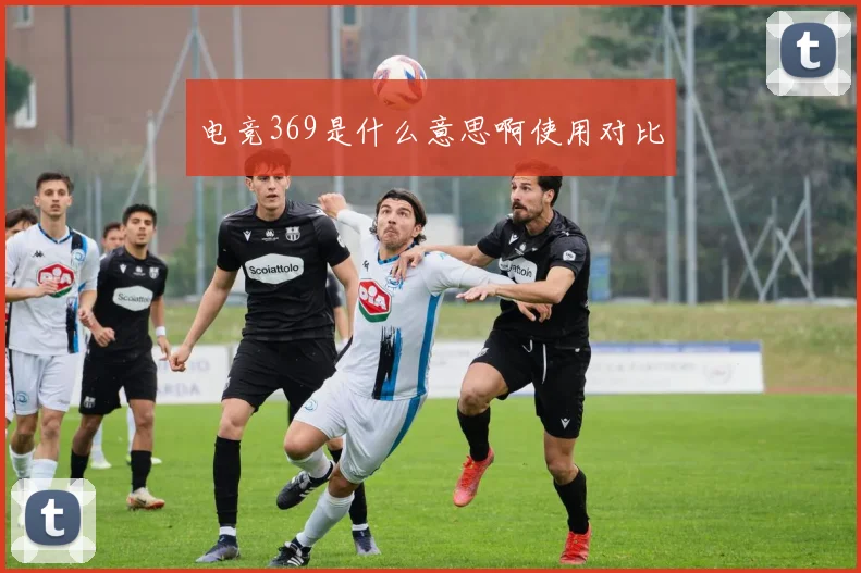 电竞369是什么意思啊使用对比