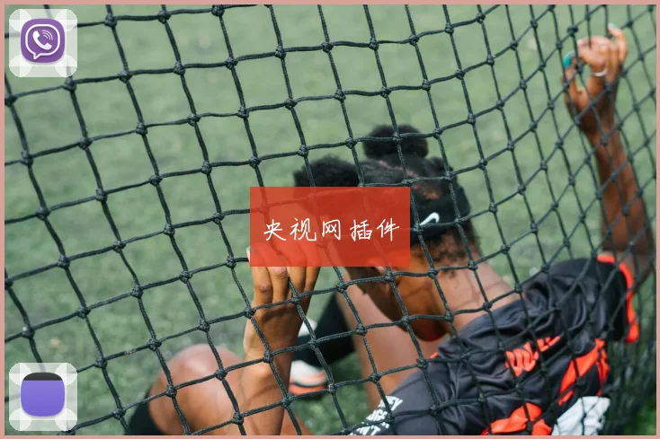 央视网插件