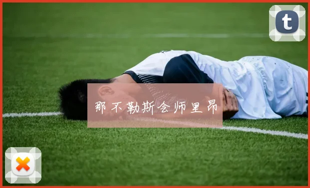 那不勒斯会师里昂