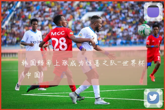 韩国赔率上涨成为惊喜之队-世界杯(中国)