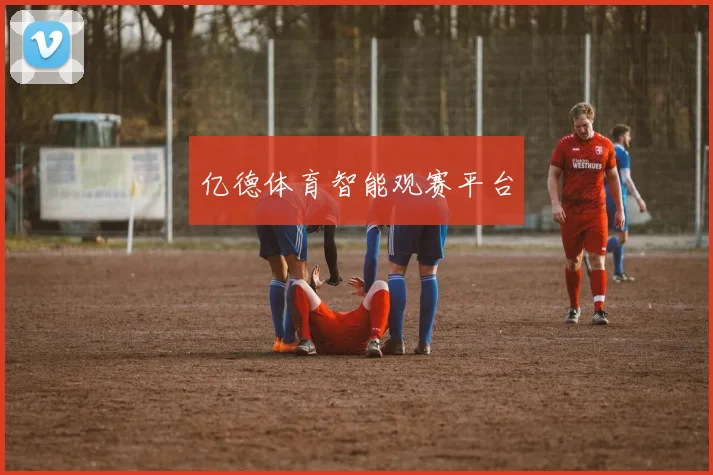 亿德体育智能观赛平台