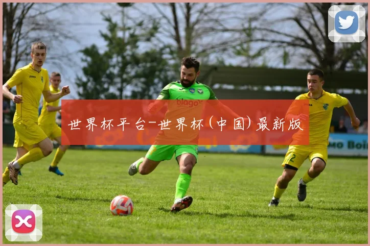 世界杯平台-世界杯(中国)最新版