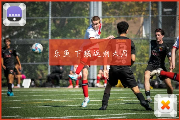乐鱼 下载返利大厅