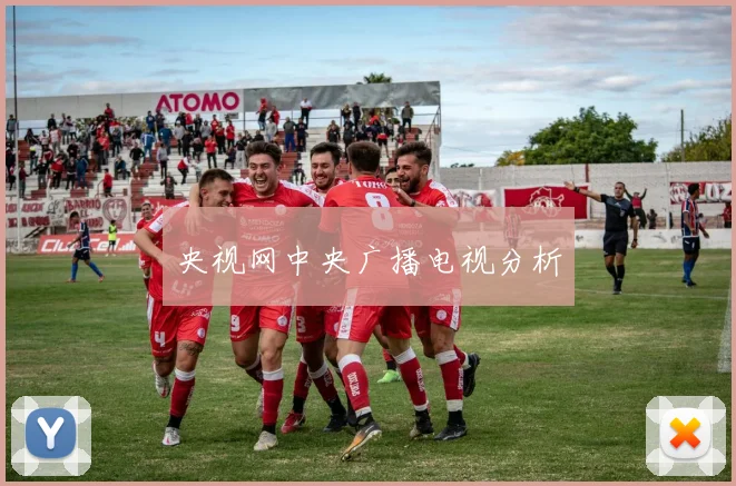 央视网中央广播电视分析