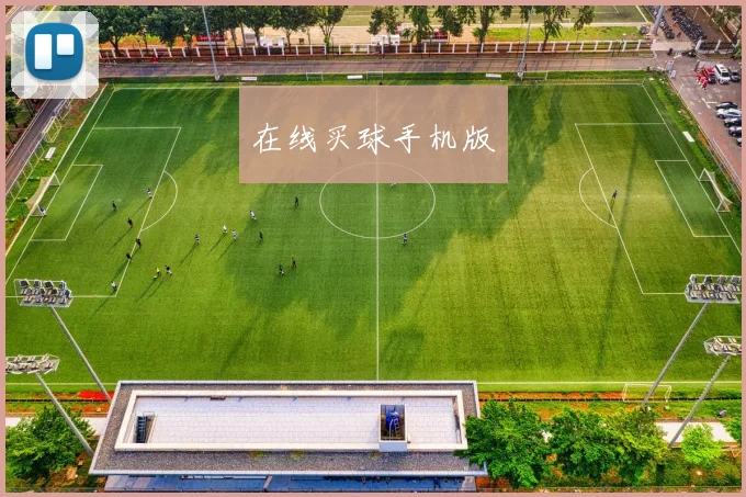 在线买球手机版