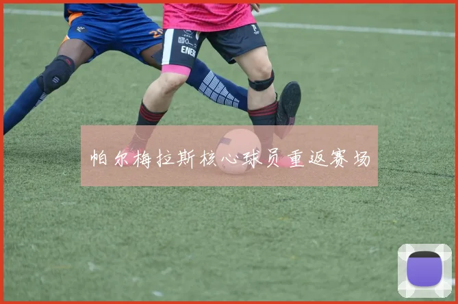 帕尔梅拉斯核心球员重返赛场