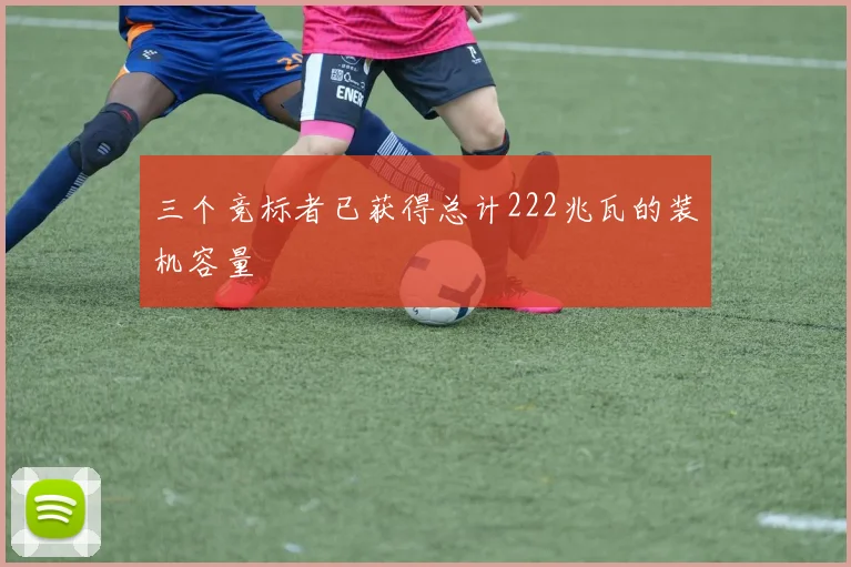 三个竞标者已获得总计222兆瓦的装机容量