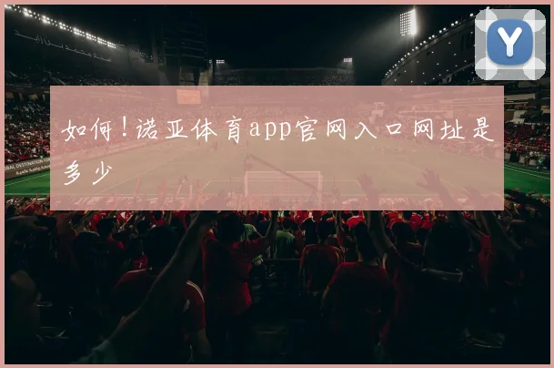 如何!诺亚体育app官网入口网址是多少