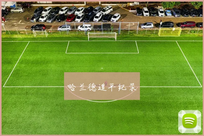 哈兰德追平纪录