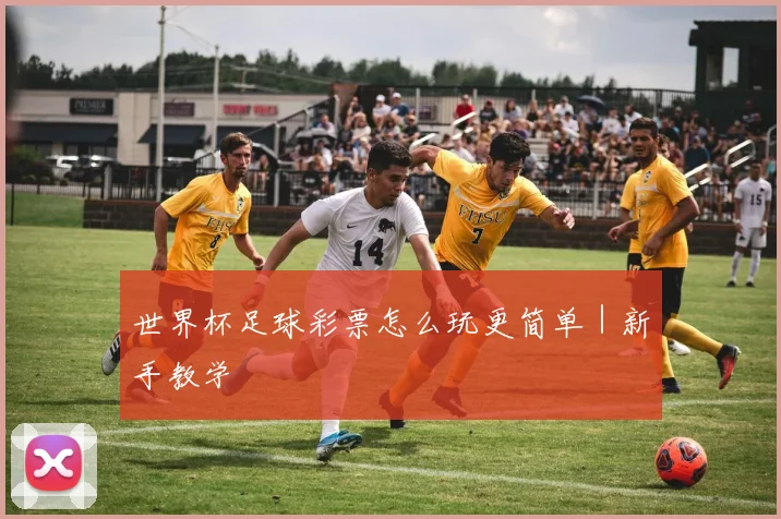 世界杯足球彩票怎么玩更简单｜新手教学