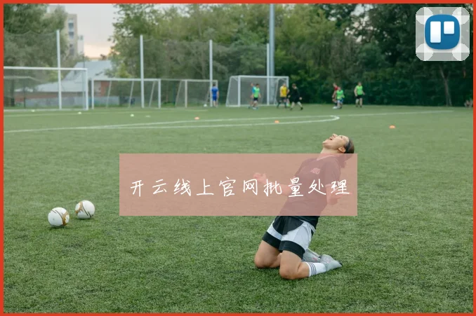 开云线上官网批量处理