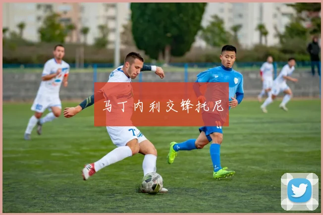 马丁内利交锋托尼