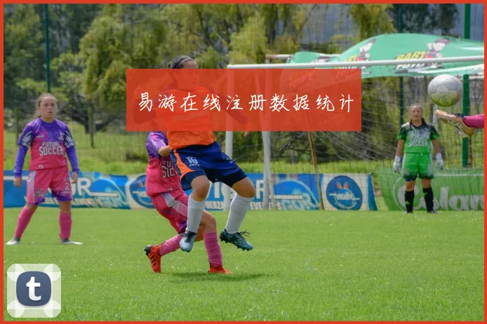 易游在线注册数据统计