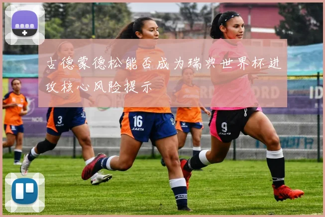 古德蒙德松能否成为瑞典世界杯进攻核心风险提示