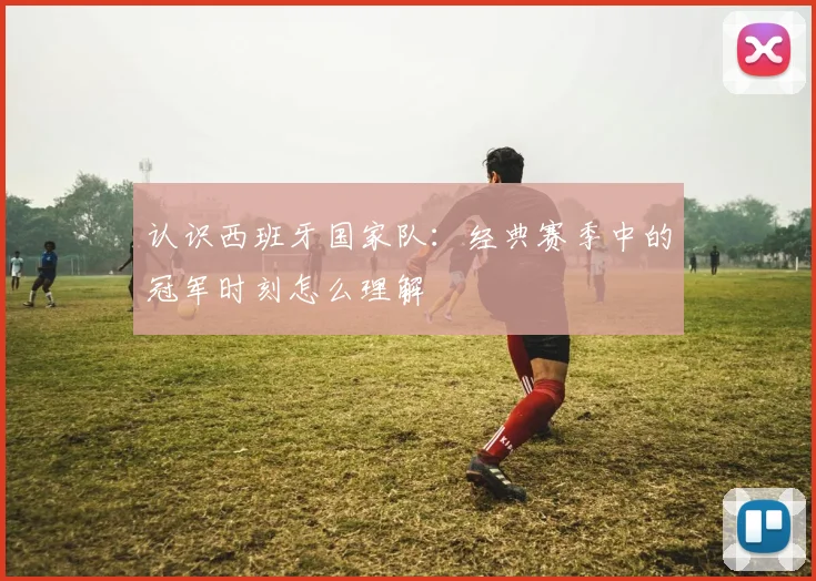 认识西班牙国家队：经典赛季中的冠军时刻怎么理解