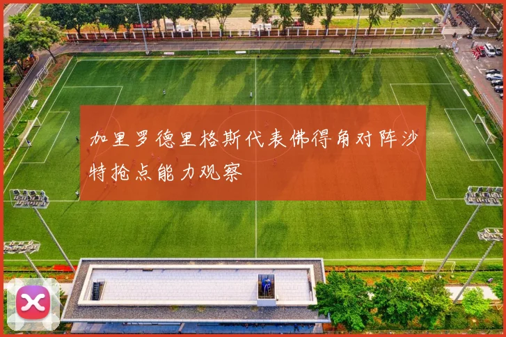 加里罗德里格斯代表佛得角对阵沙特抢点能力观察