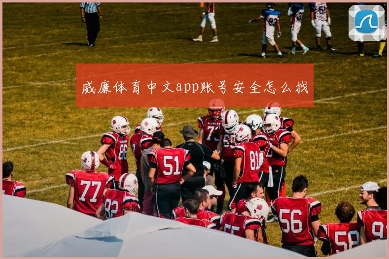 威廉体育中文app账号安全怎么找